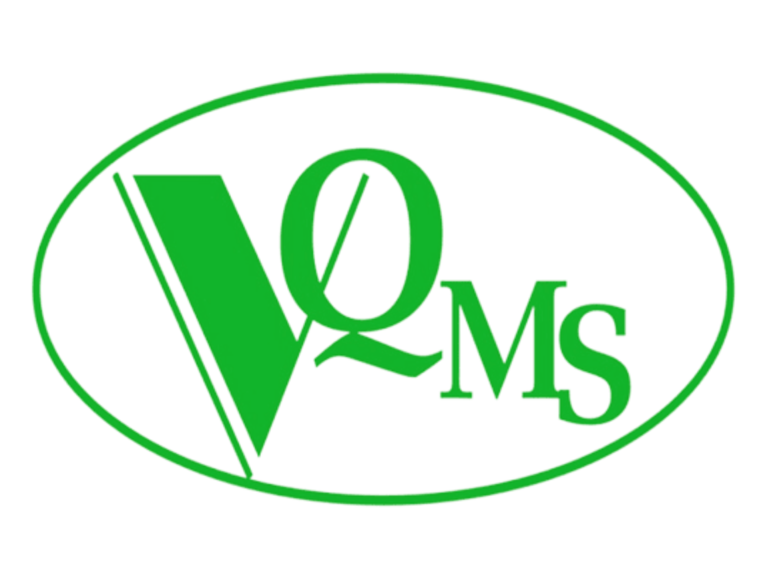 VQMS